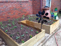 feeling the springtime - even in the rain